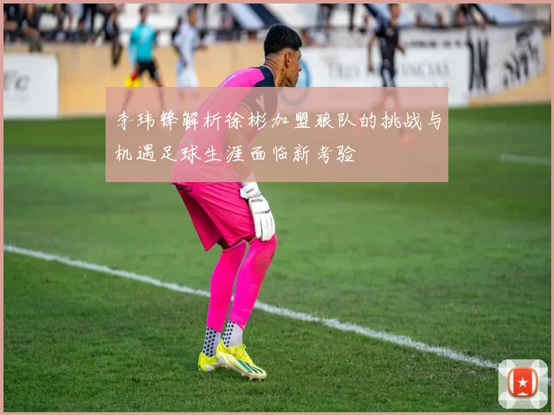 李玮锋解析徐彬加盟狼队的挑战与机遇足球生涯面临新考验