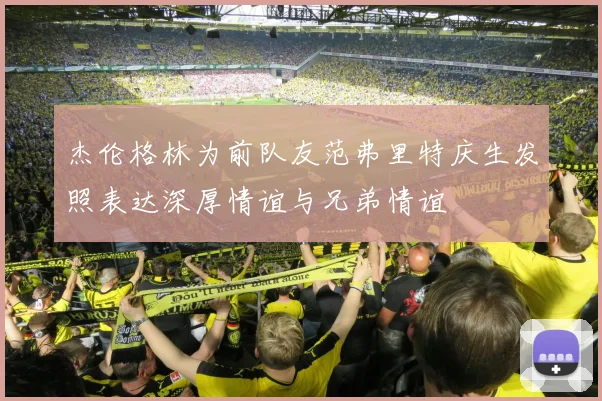 杰伦格林为前队友范弗里特庆生发照表达深厚情谊与兄弟情谊